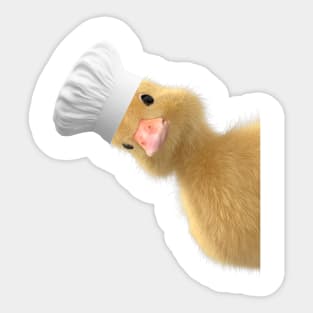 Peking Duck Pun -  Cute Peeking Duck Lover's Funny Cook or Chef Graduation Gift Sticker